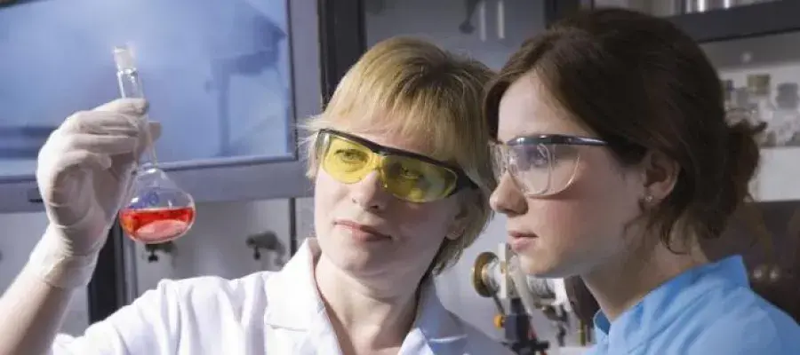 Researchers: professional development